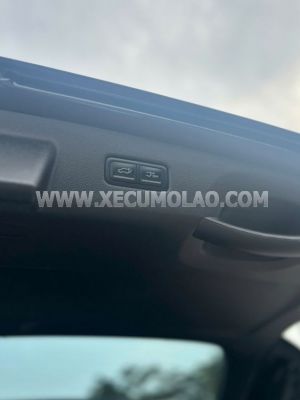 Xe Kia Carnival Signature 2.2D 2023