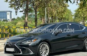 Xe Lexus ES 250 2023