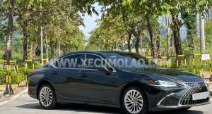 Xe Lexus ES 250 2023